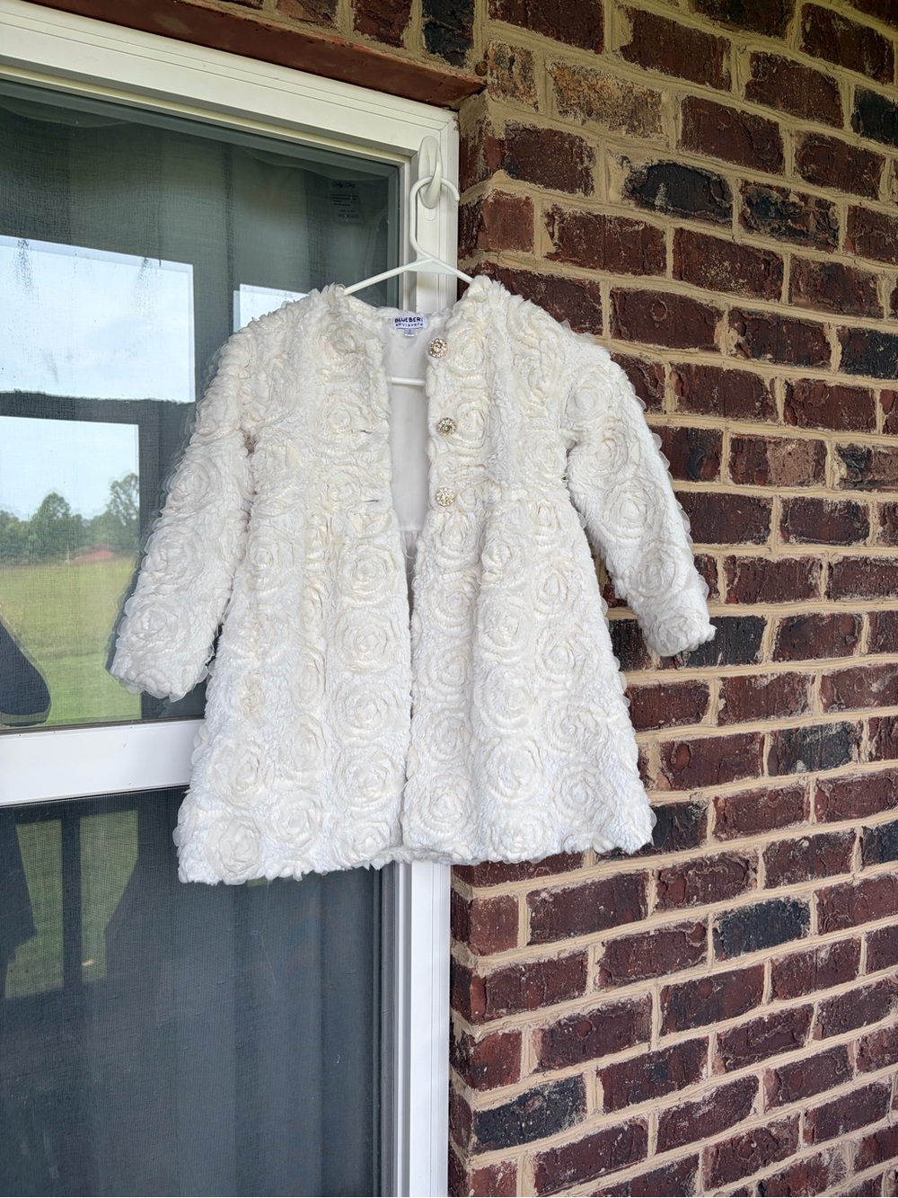 Blueberi Boulevard Dress Coat